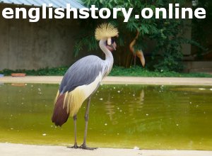 A Tale of Friendship - animal story with moral in english (Kids story):